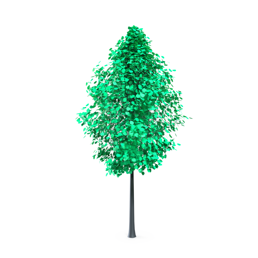 Colorful tree isolated on transparent png