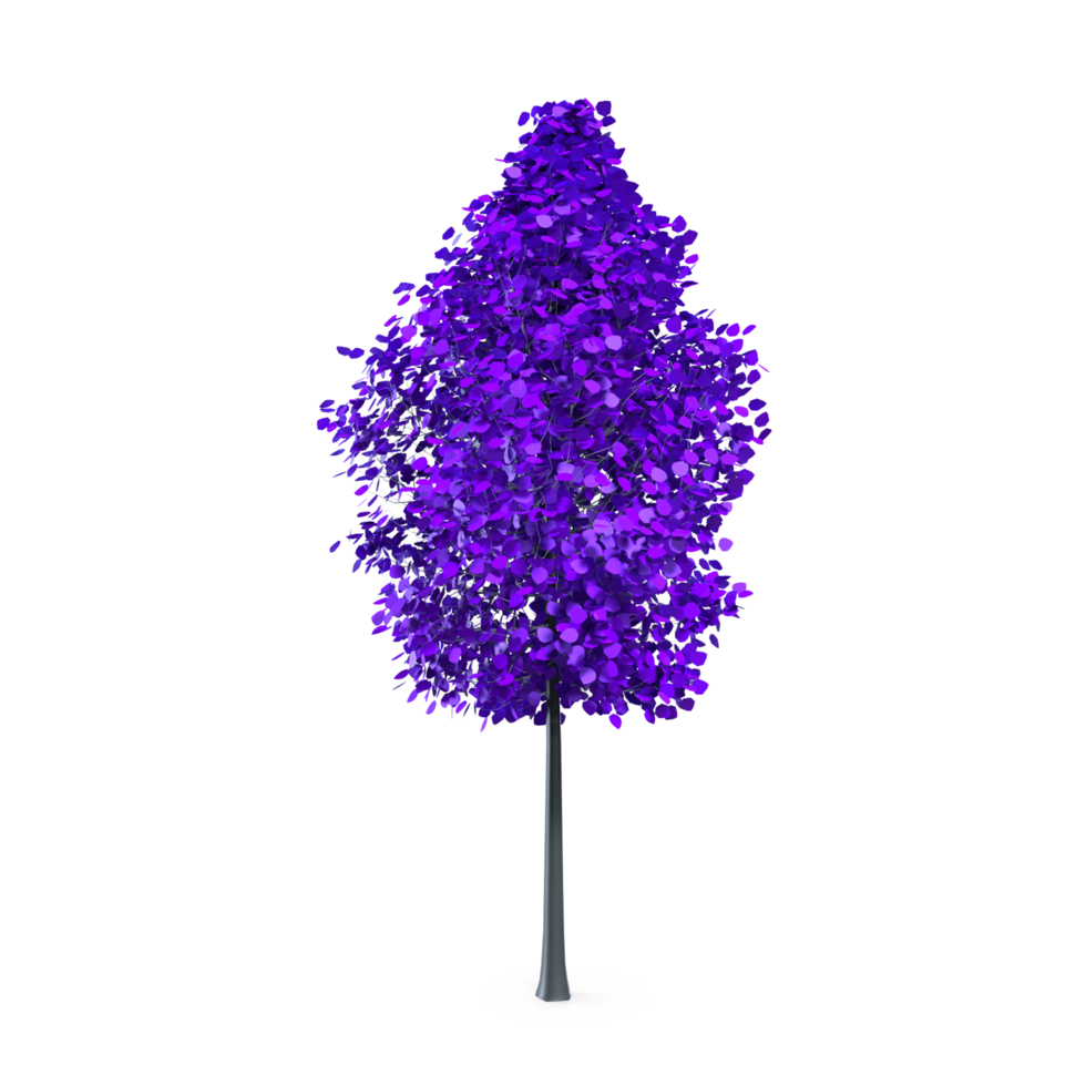 coloré arbre isolé sur transparent png