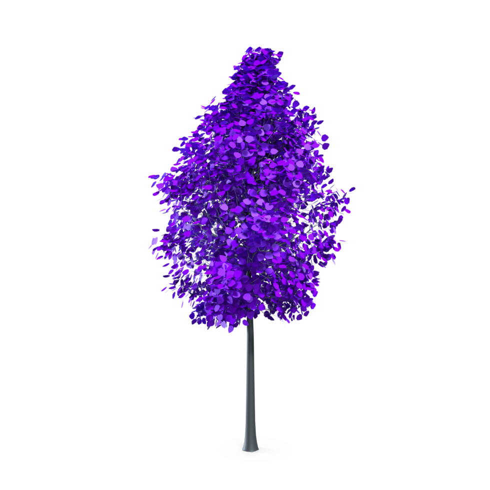 coloré arbre isolé sur transparent png