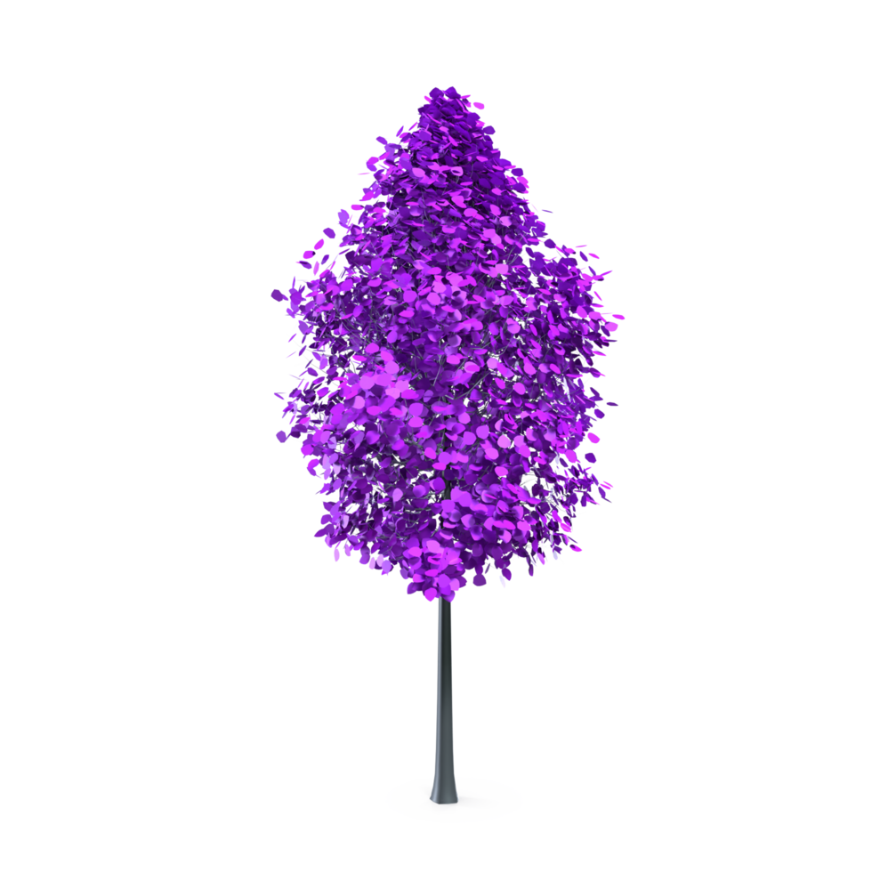 coloré arbre isolé sur transparent png