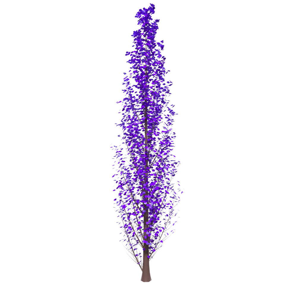 Tree isolated on transparent png