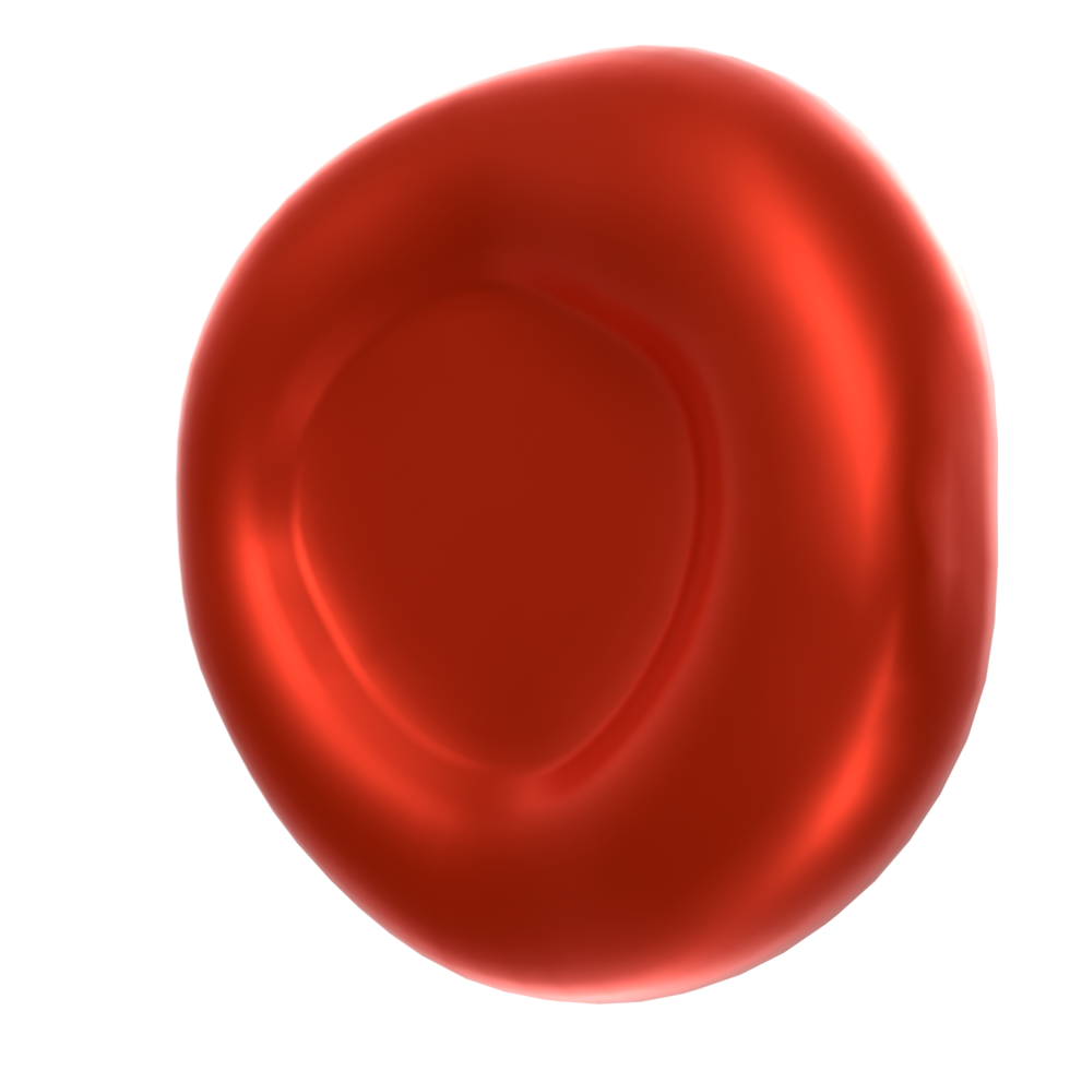 Blood cell isolated on transparent png