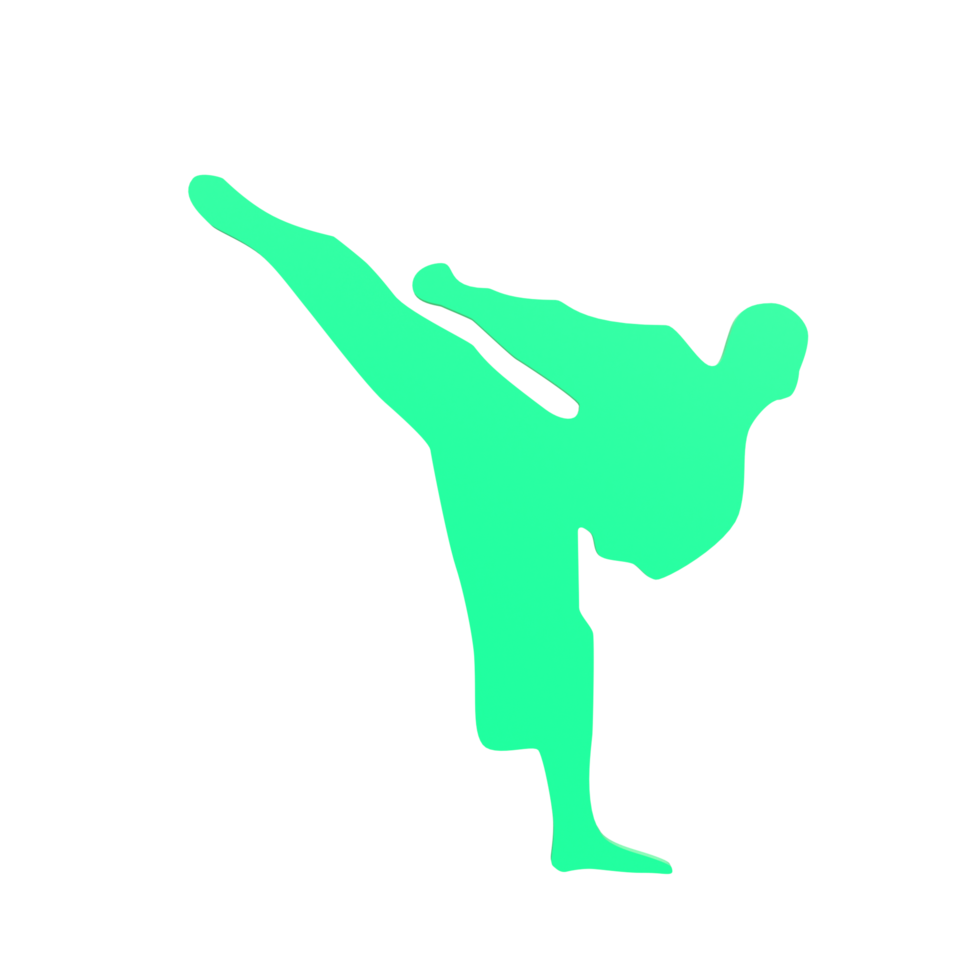 Karate boy isolated on transparent png