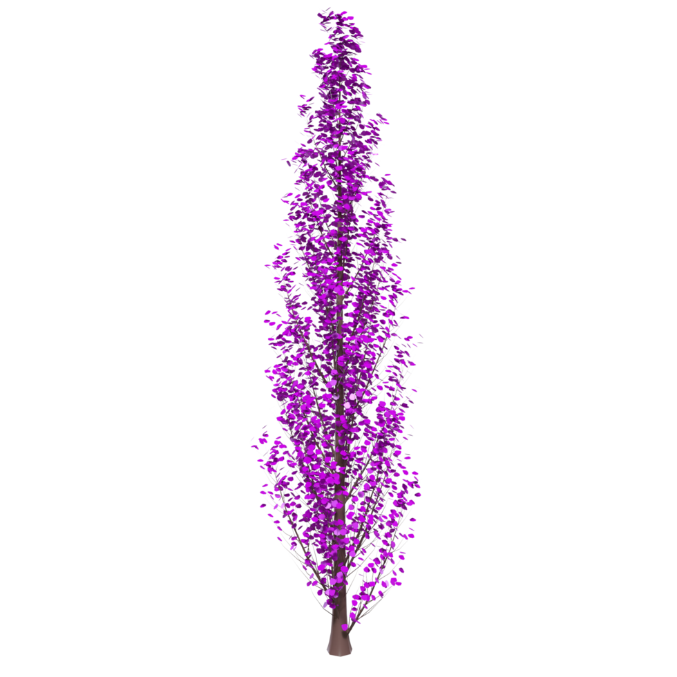 Tree isolated on transparent png