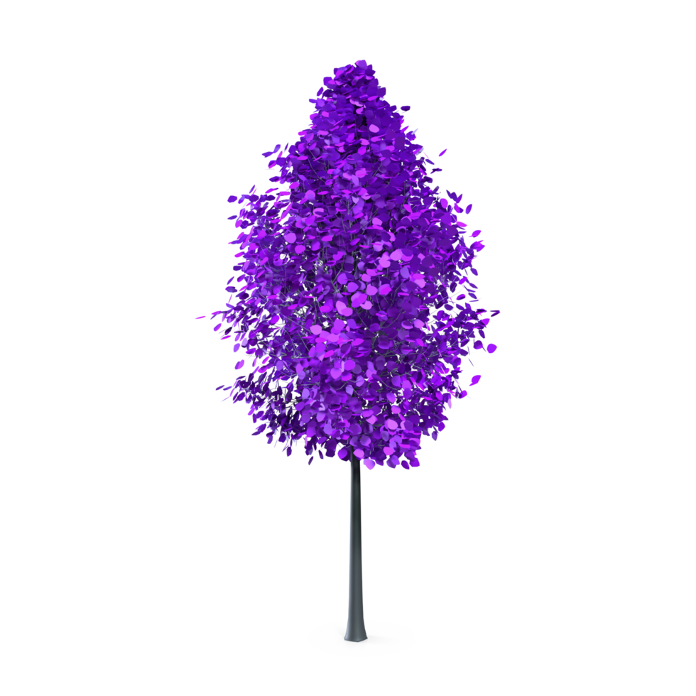 Colorful tree isolated on transparent png