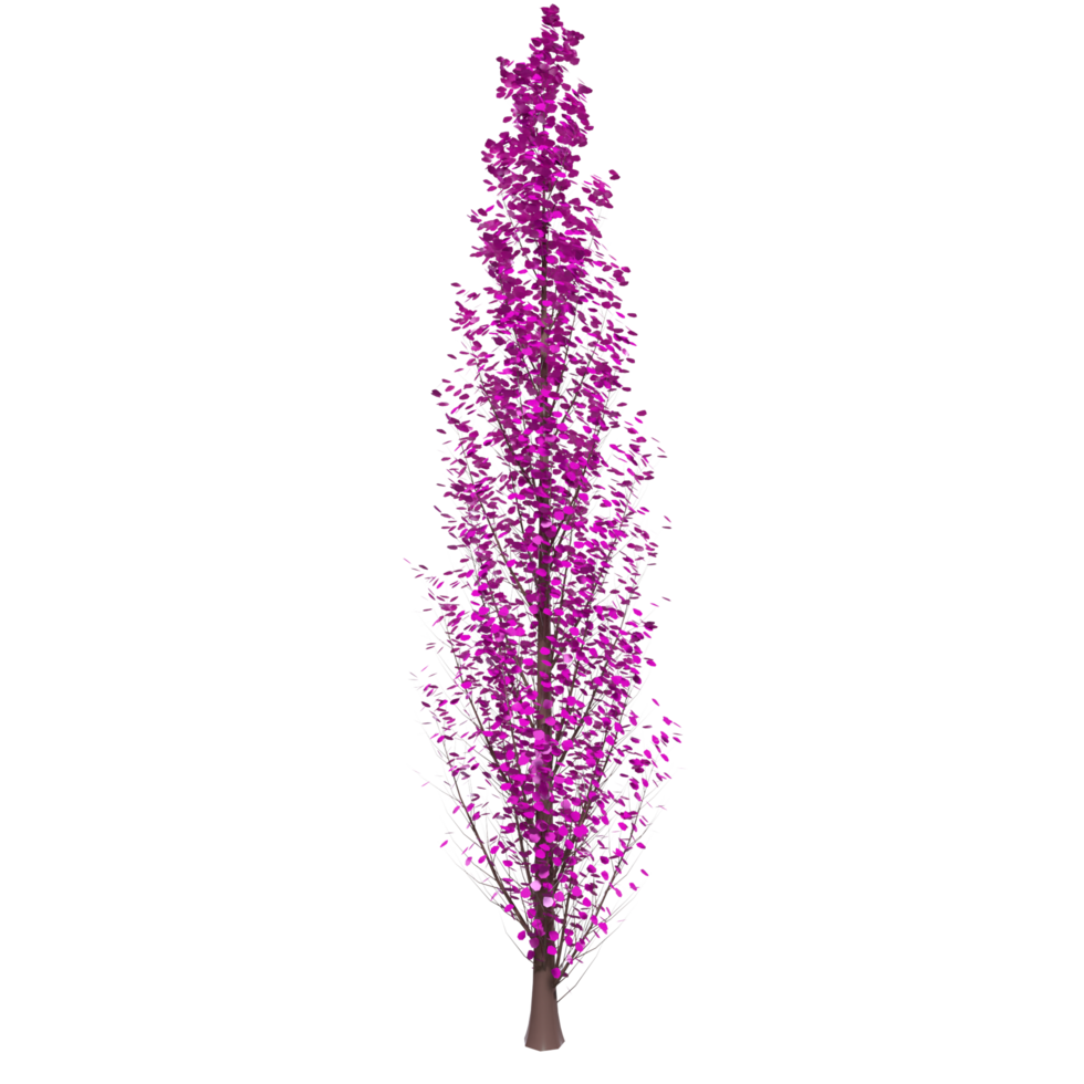 Tree isolated on transparent png