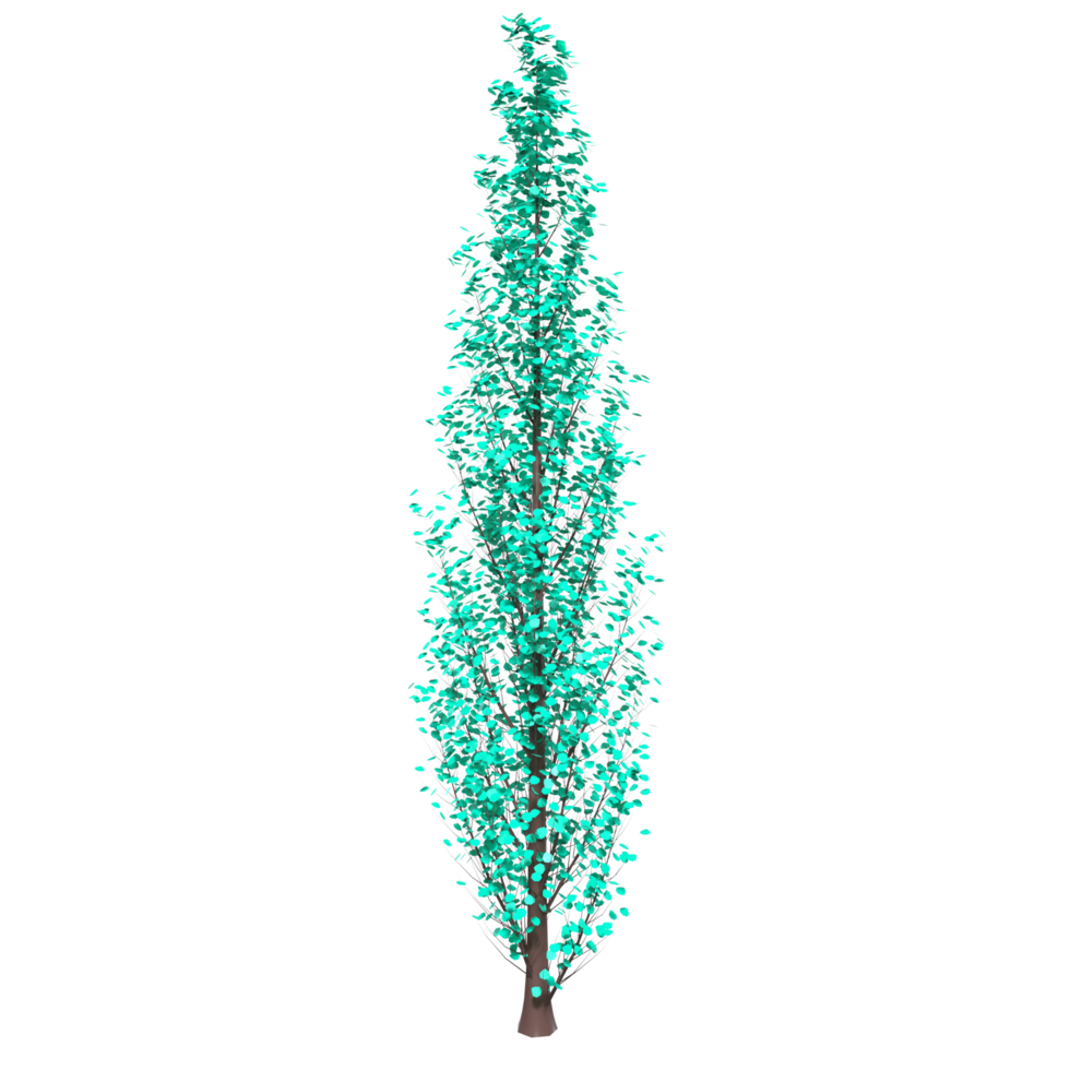 Tree isolated on transparent png