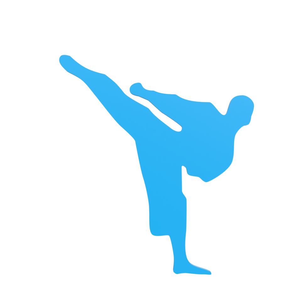 karate pojke isolerat på transparent png