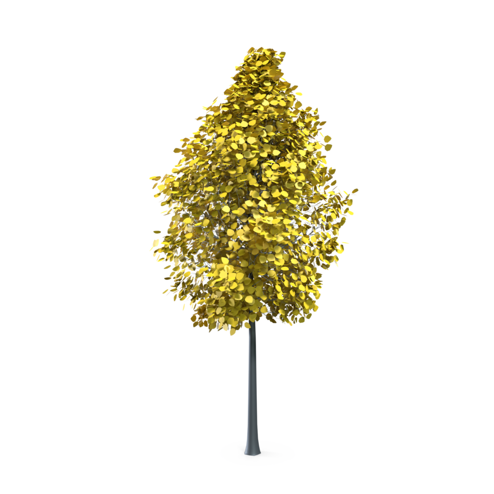 Colorful tree isolated on transparent png