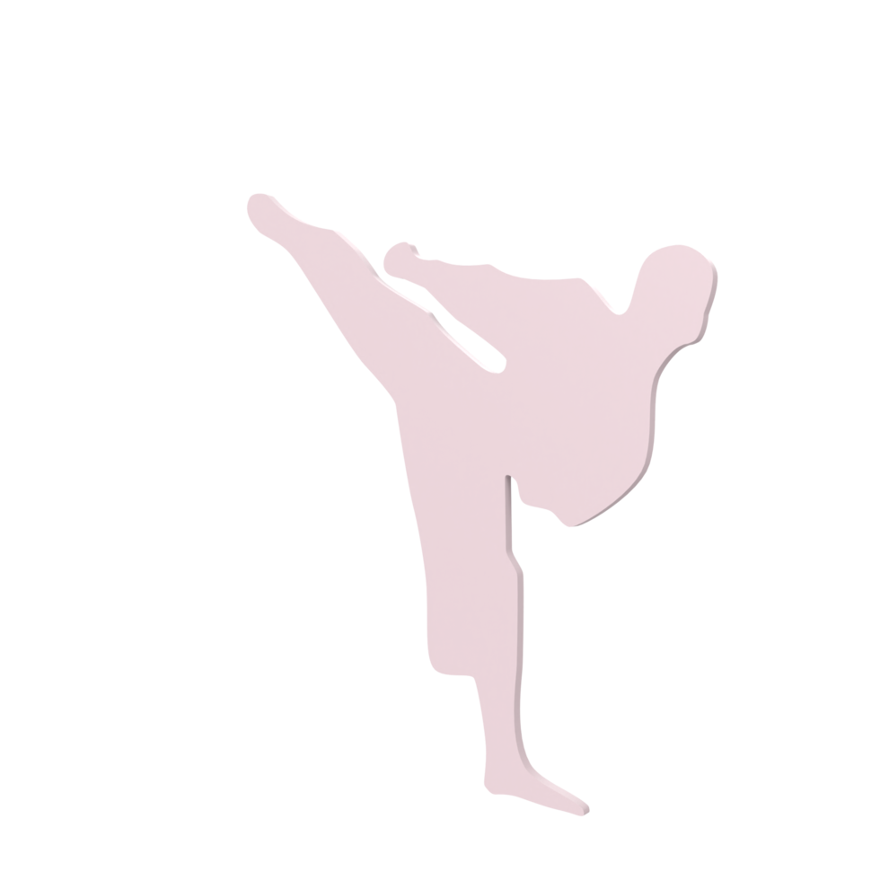 karate pojke isolerat på transparent png