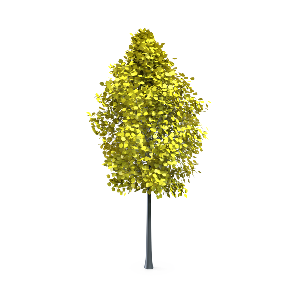 Colorful tree isolated on transparent png