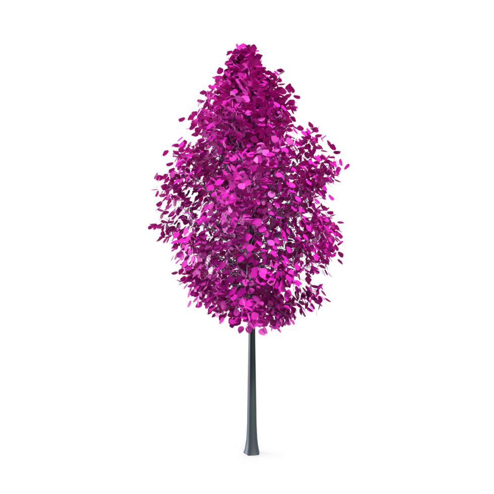 Colorful tree isolated on transparent png