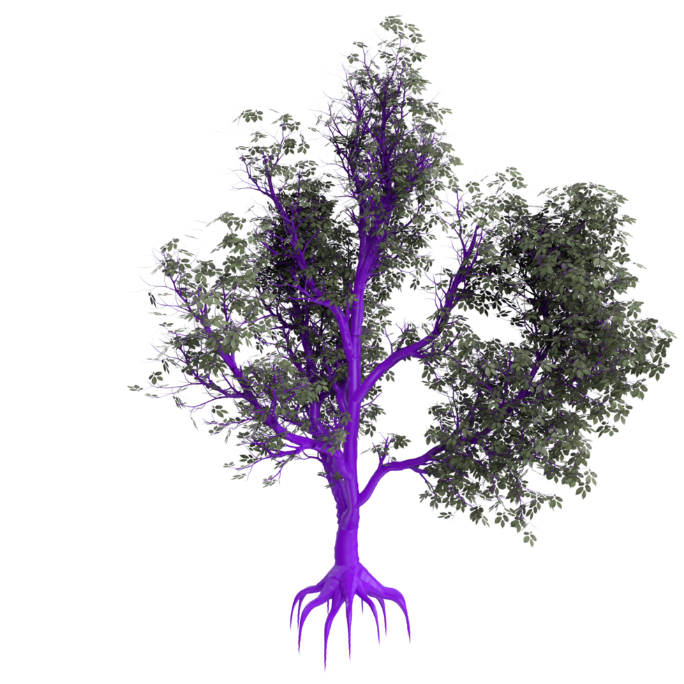 Tree isolated on transparent png