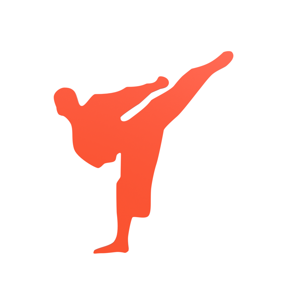 Karate boy isolated on transparent png