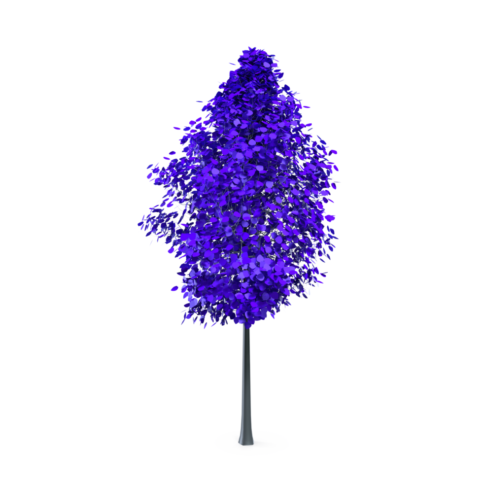 Colorful tree isolated on transparent png