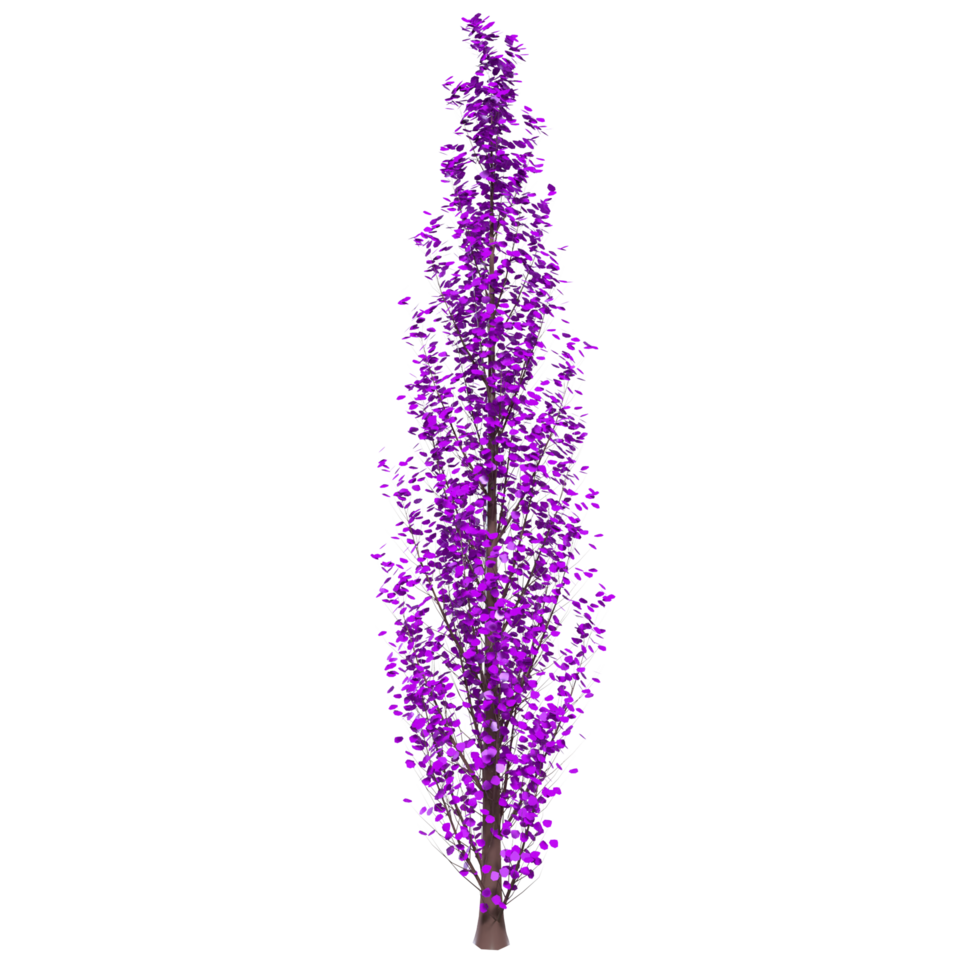 Tree isolated on transparent png