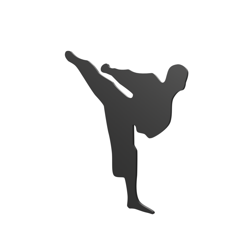 Karate boy isolated on transparent png