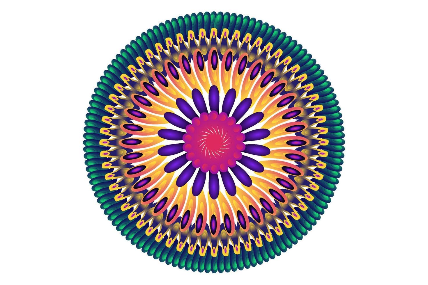 Colorful mandala graphic illustration design vector