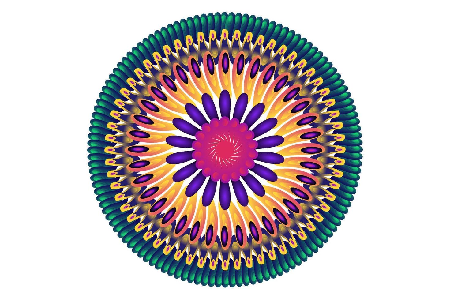 Colorful mandala graphic illustration design vector