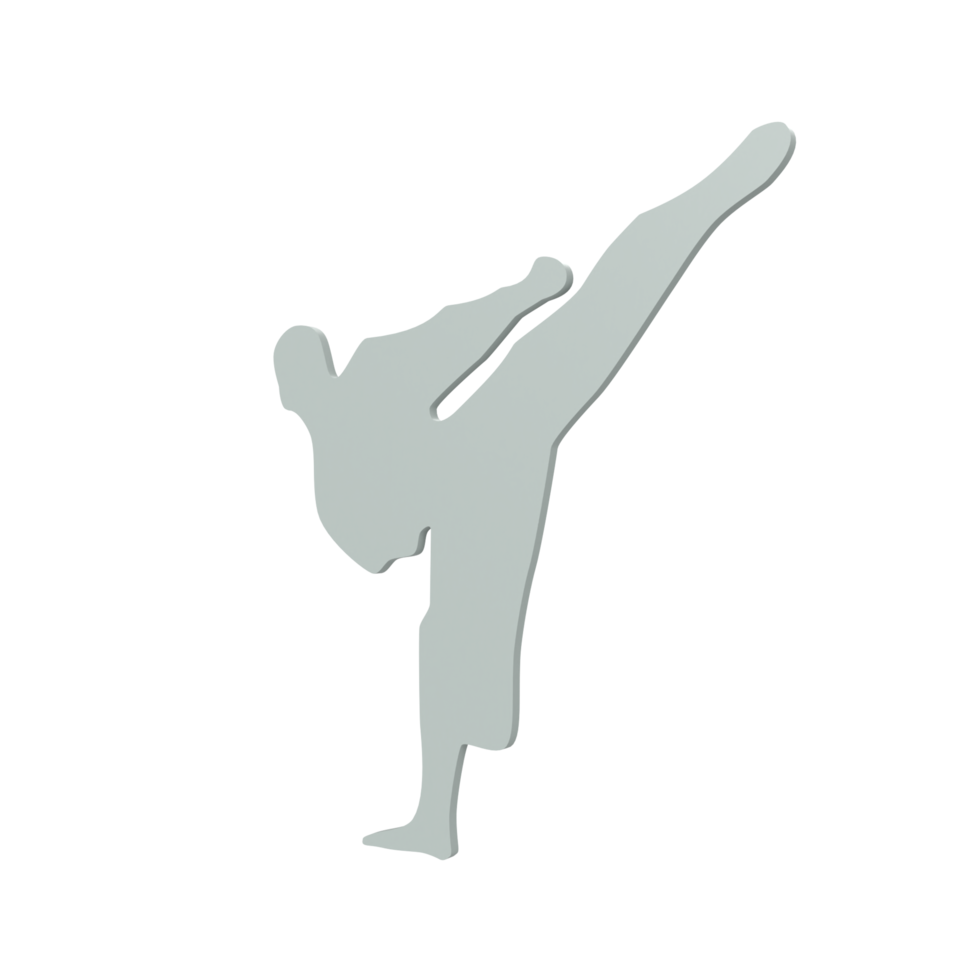 Karate boy isolated on transparent png