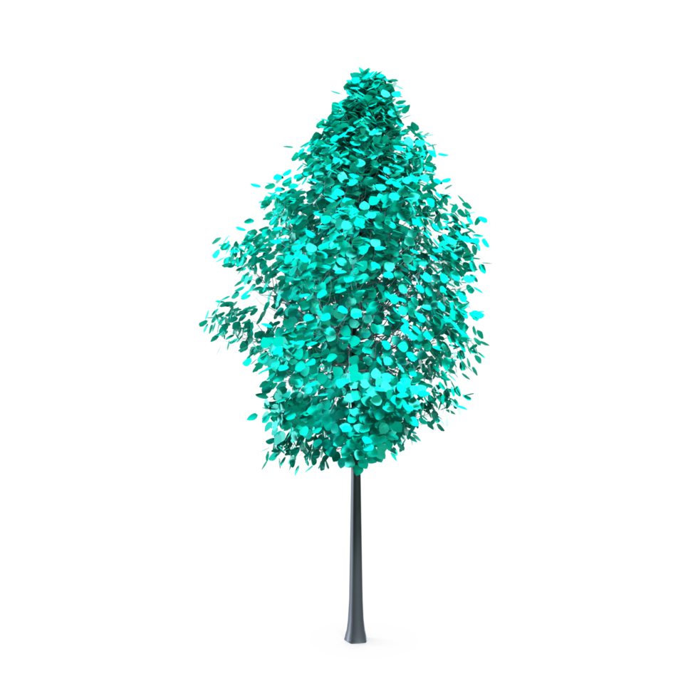 Colorful tree isolated on transparent png