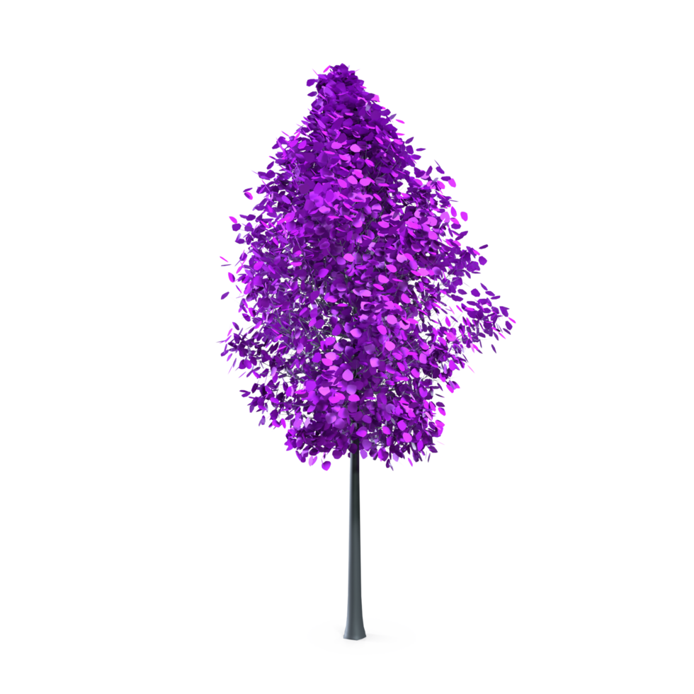 Colorful tree isolated on transparent png