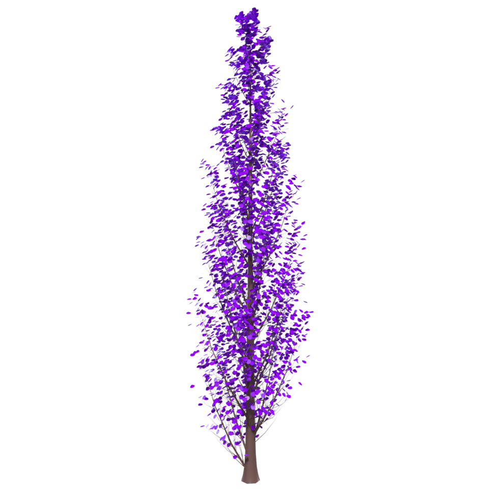 Tree isolated on transparent png