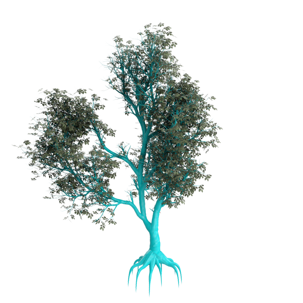 Tree isolated on transparent png