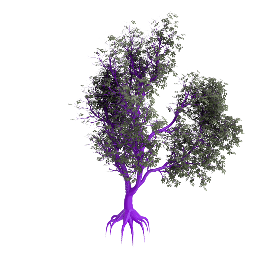 Tree isolated on transparent png