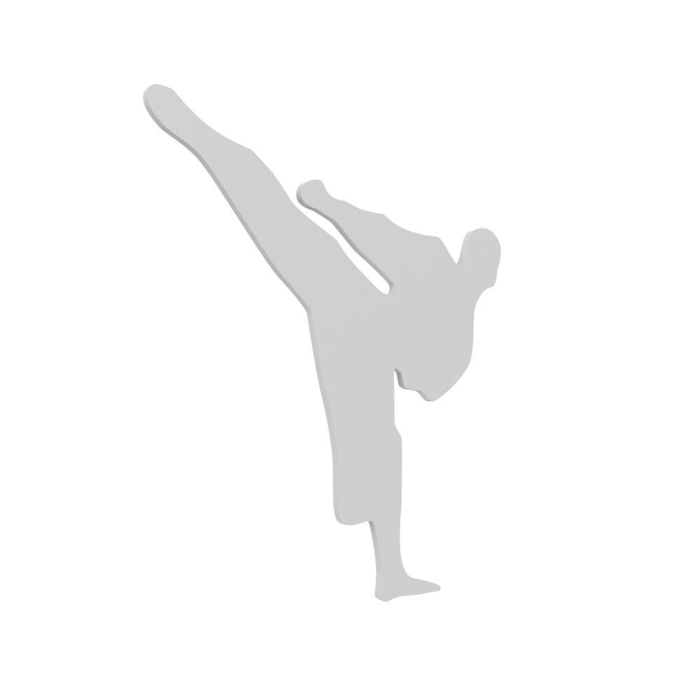 Karate boy isolated on transparent png