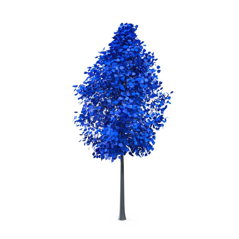 Colorful tree isolated on transparent png