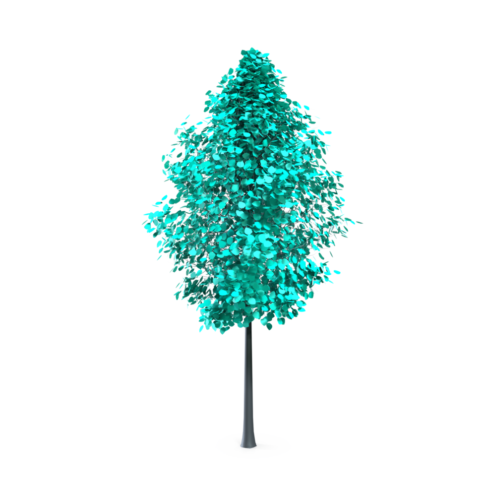 Colorful tree isolated on transparent png