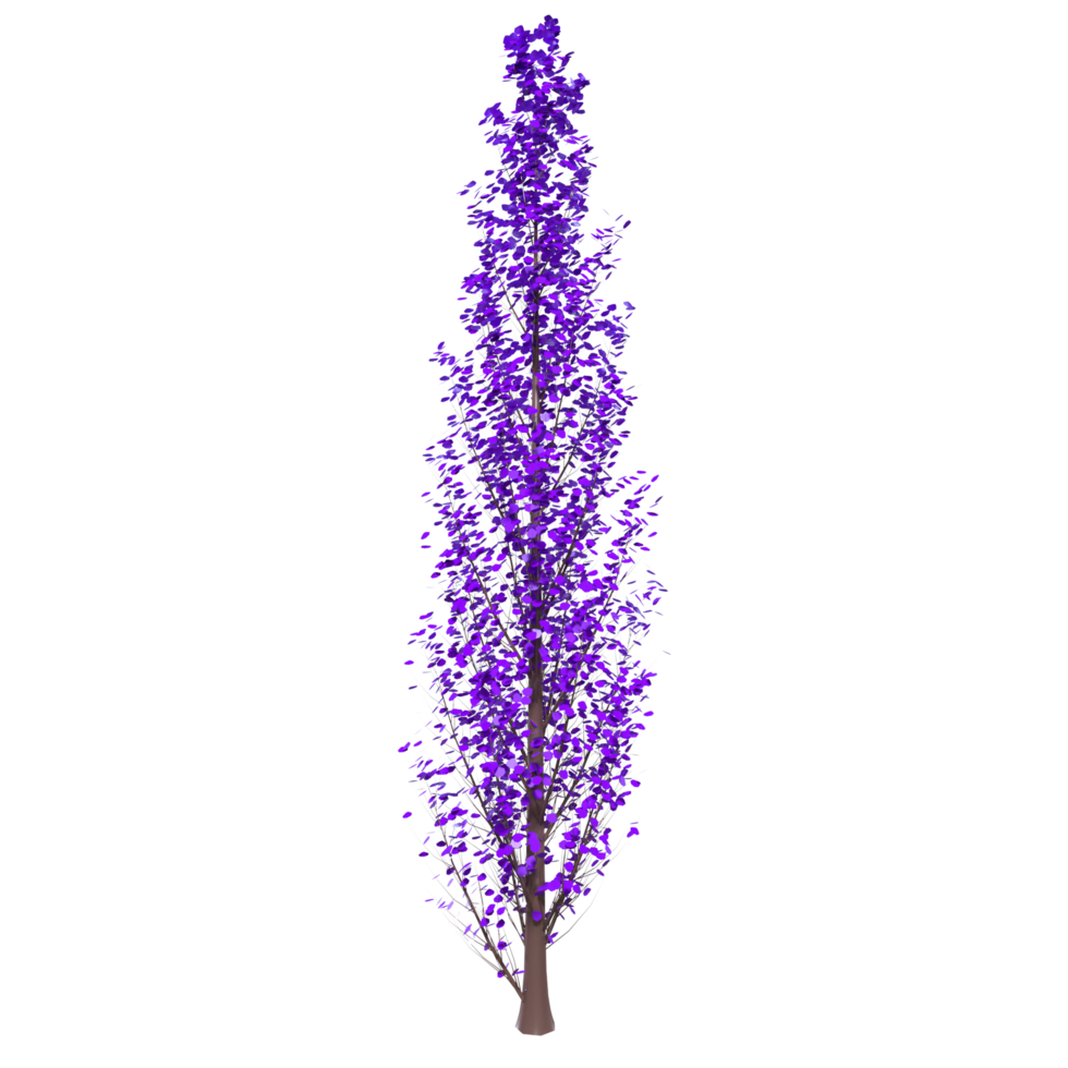 Tree isolated on transparent png