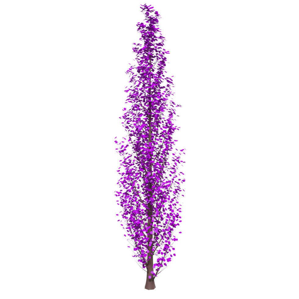 Tree isolated on transparent png