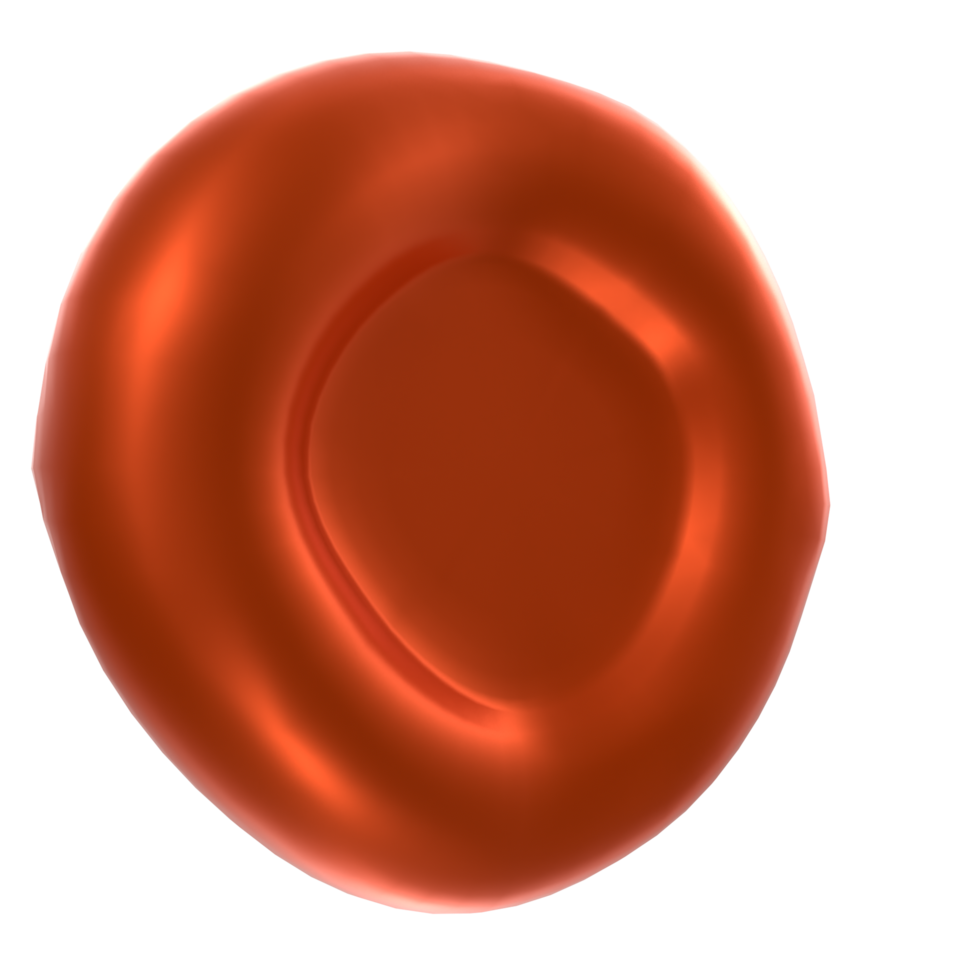 Blood cell isolated on transparent png