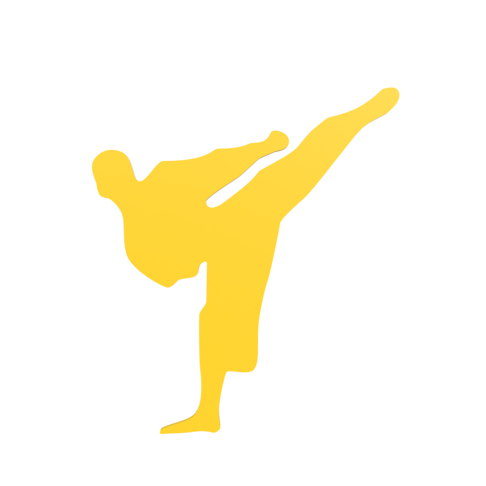 Karate boy isolated on transparent png