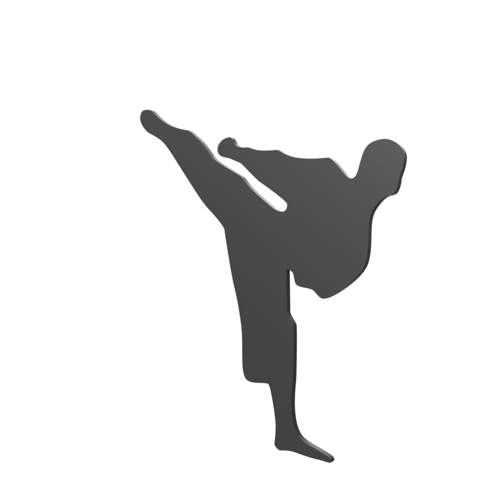 karate jongen geïsoleerd Aan transparant png