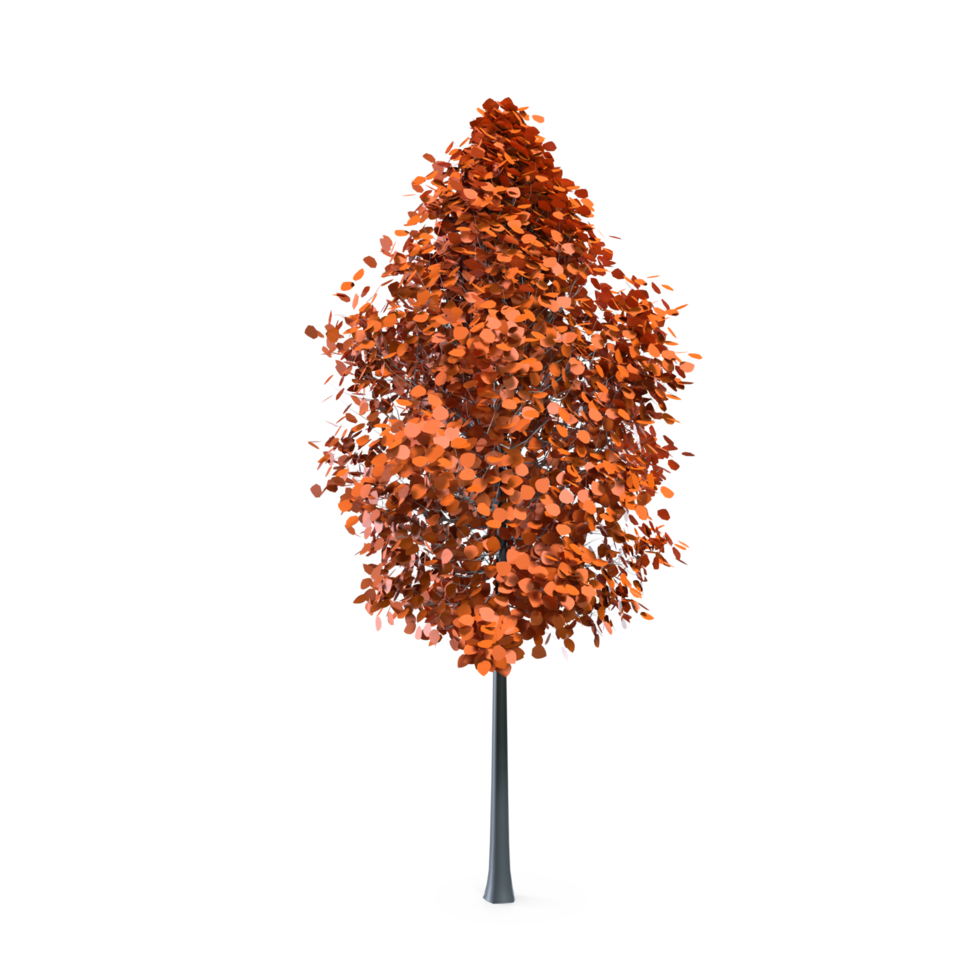 Colorful tree isolated on transparent png