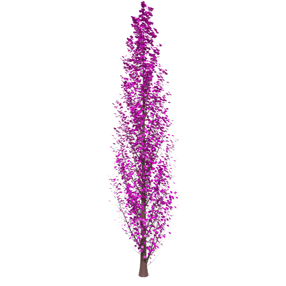 Tree isolated on transparent png