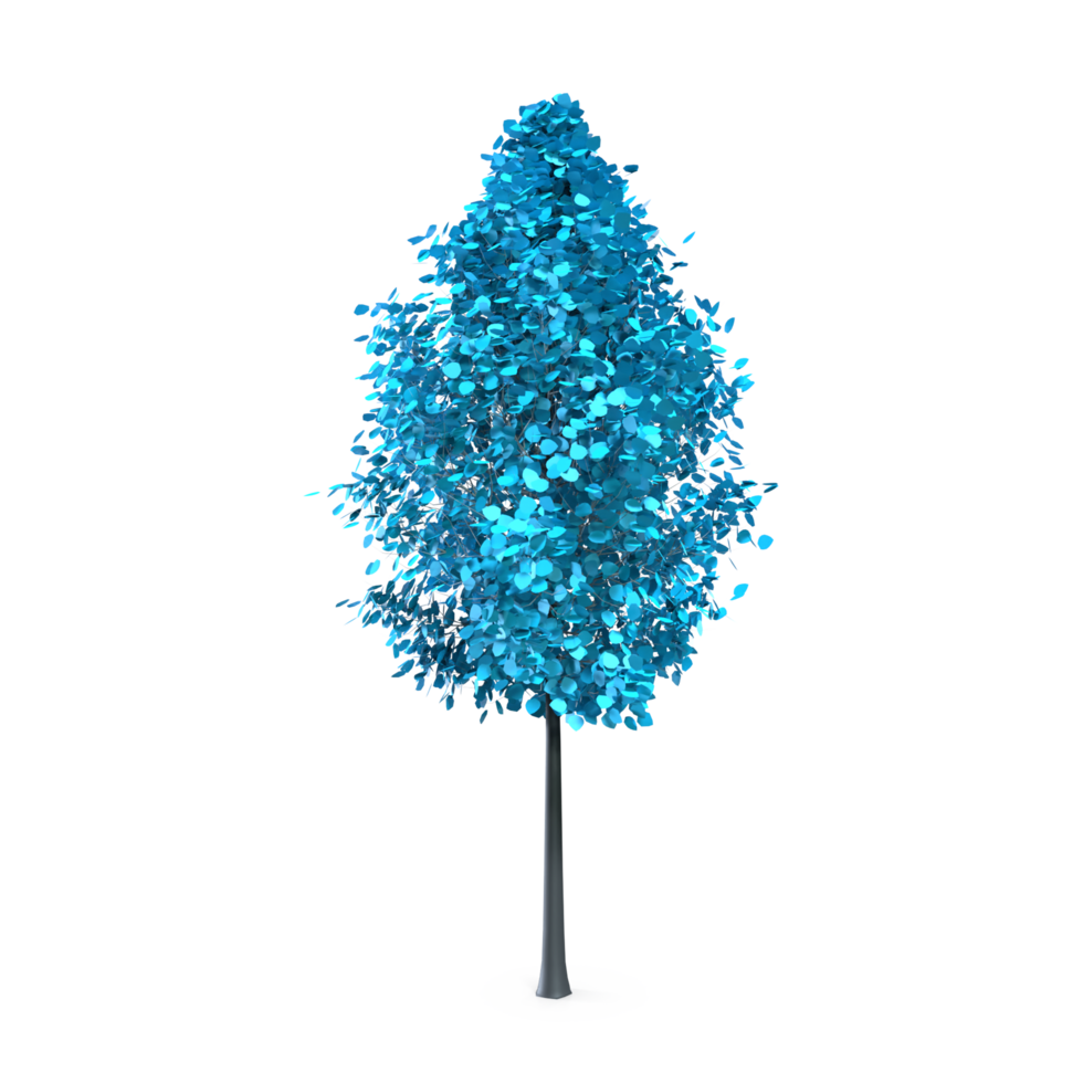 Colorful tree isolated on transparent png