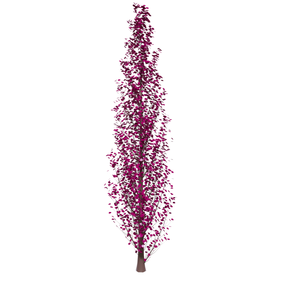 Tree isolated on transparent png