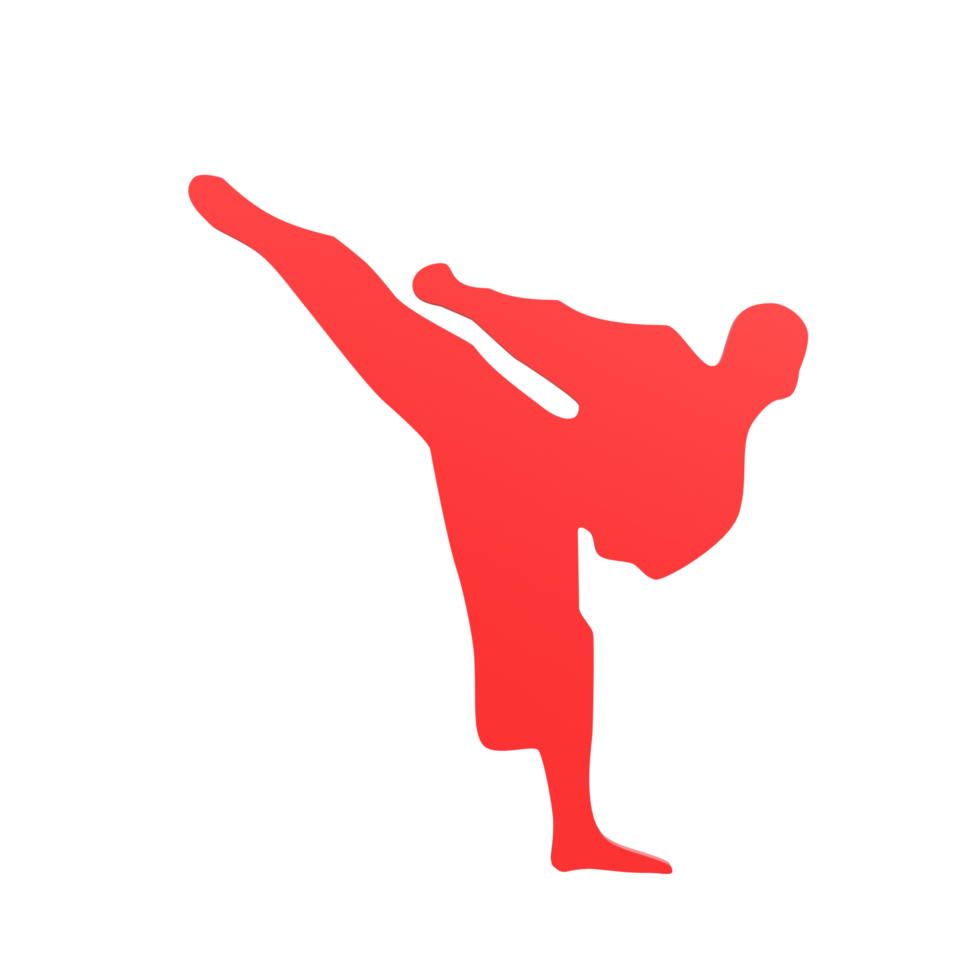 karate jongen geïsoleerd Aan transparant png