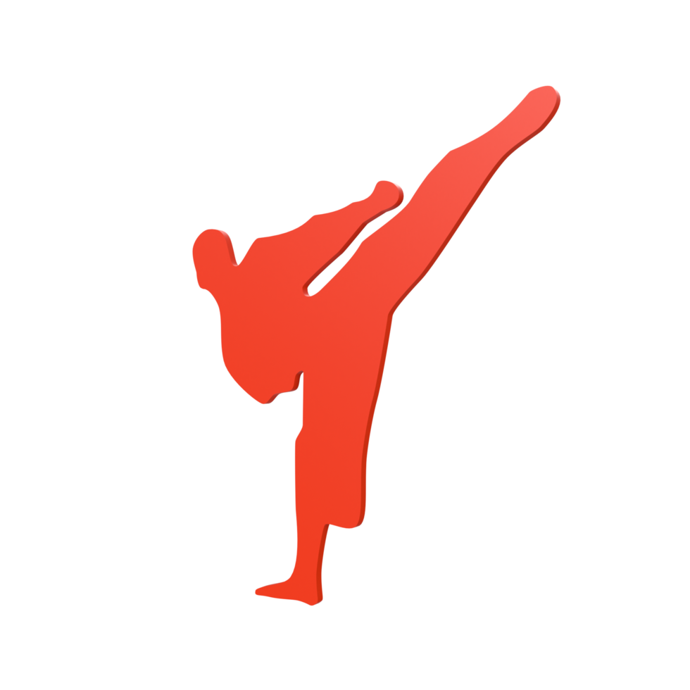 Karate boy isolated on transparent png