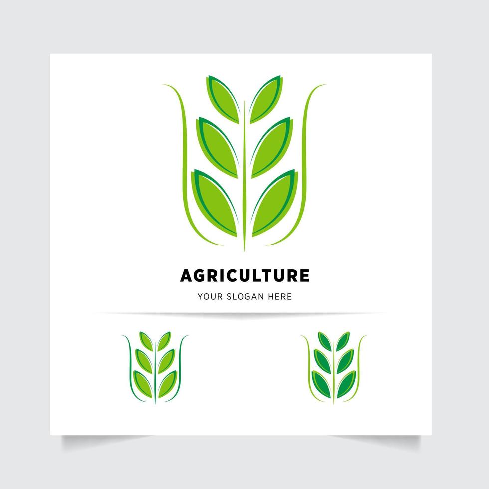 flat emblem logo design for Agriculture with the concept of green leaves vector. Green nature logo used for agricultural systems, farmers, and plantation products. logo template. vector