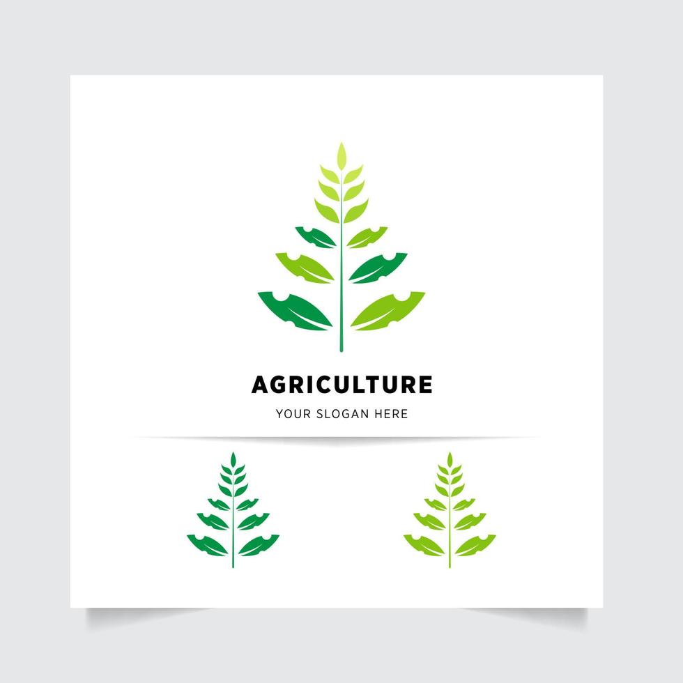 plano emblema logo diseño para agricultura con el concepto de verde hojas vector. verde naturaleza logo usado para agrícola sistemas, agricultores, y plantación productos logo modelo. vector