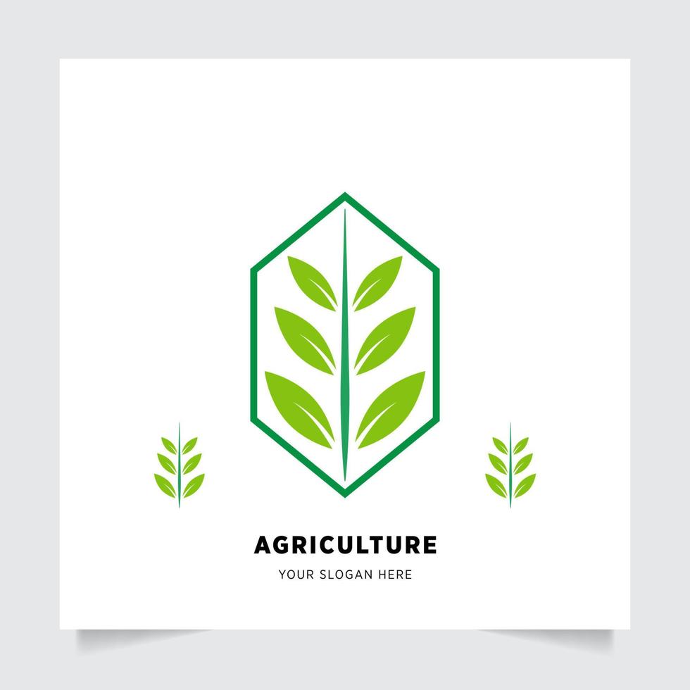 flat emblem logo design for Agriculture with the concept of green leaves vector. Green nature logo used for agricultural systems, farmers, and plantation products. logo template. vector