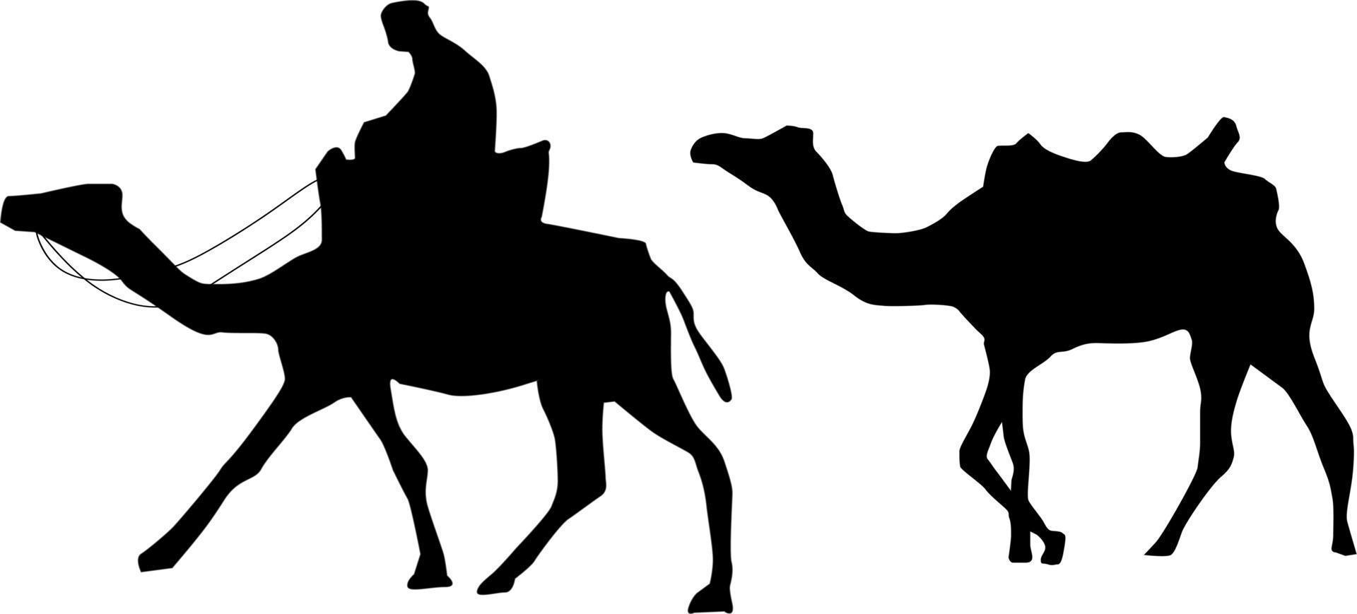 The illustrations and clipart. silhouette of a camel vector