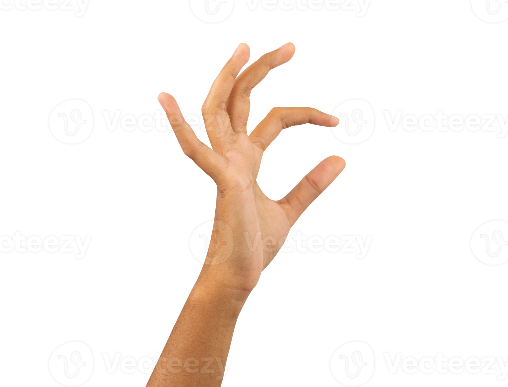 hand-holding-something-isolated-for-template-21285562-png