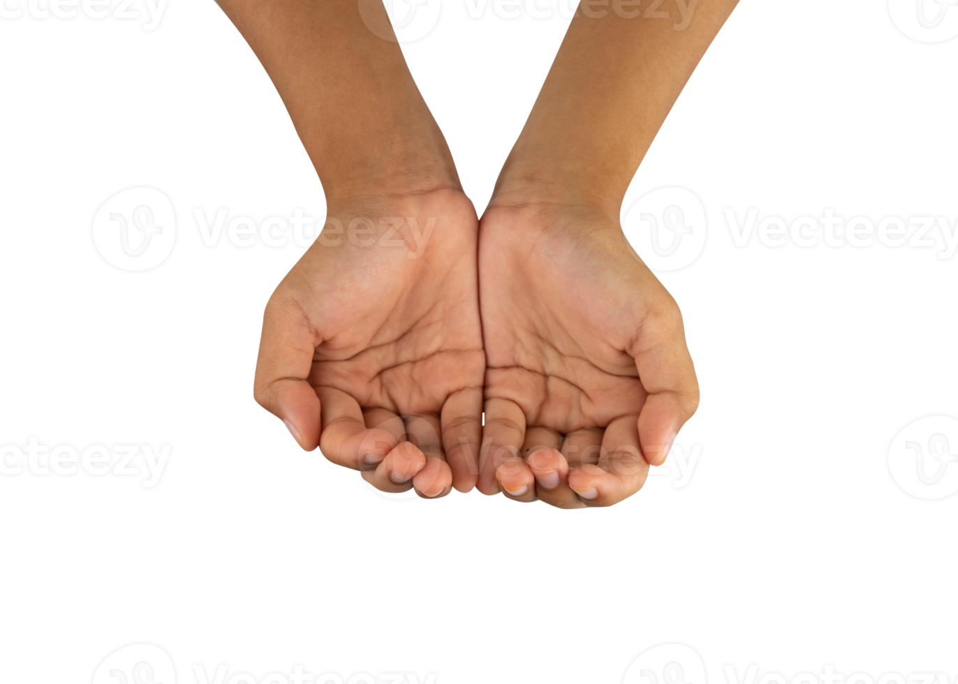 two hands holding something isolated png