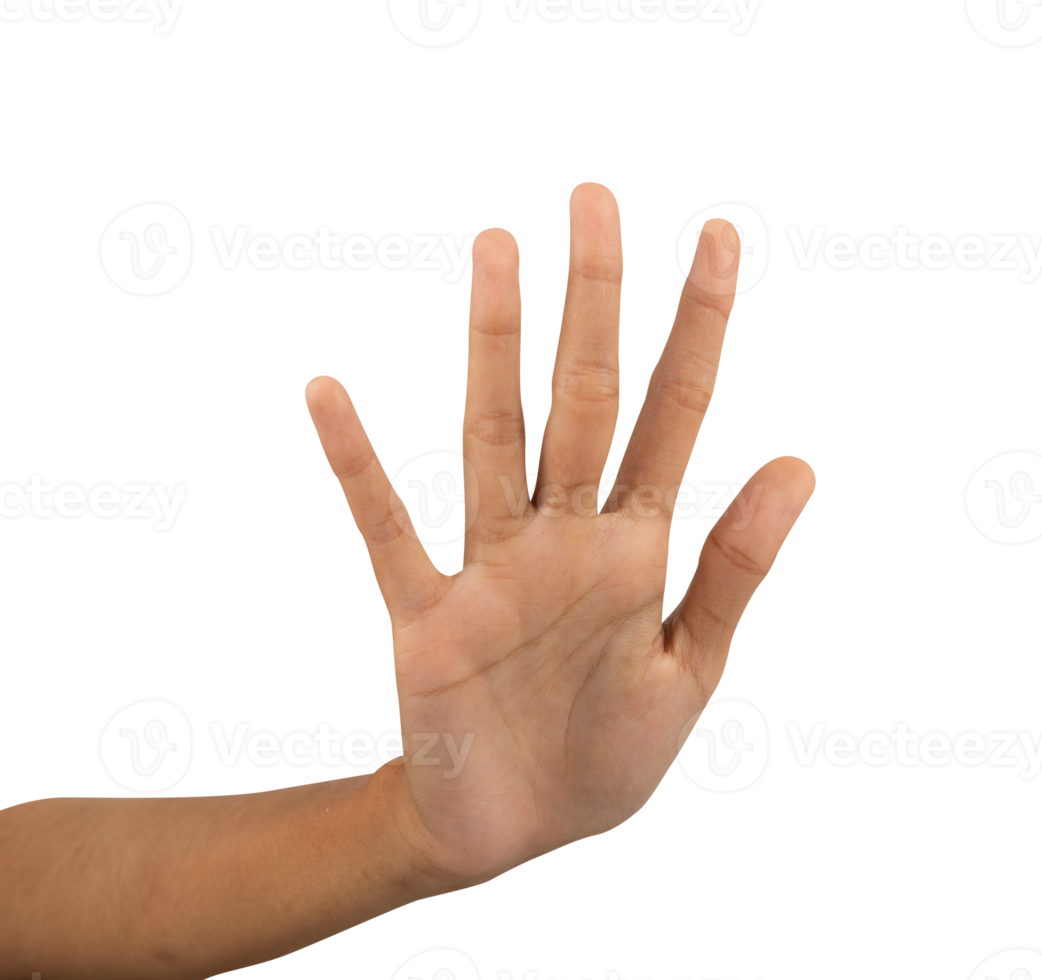 stop hand gesture sign isolated png